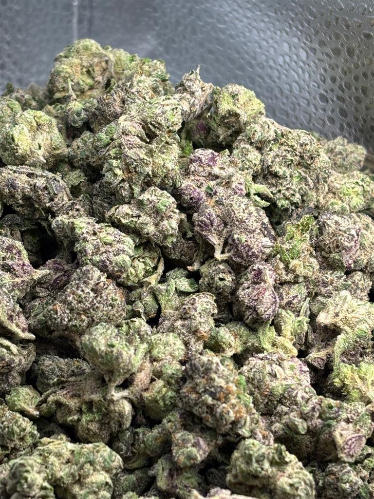 BlueNerdsExoticSmalls