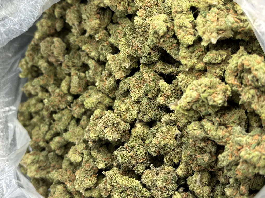 Blue Dream 