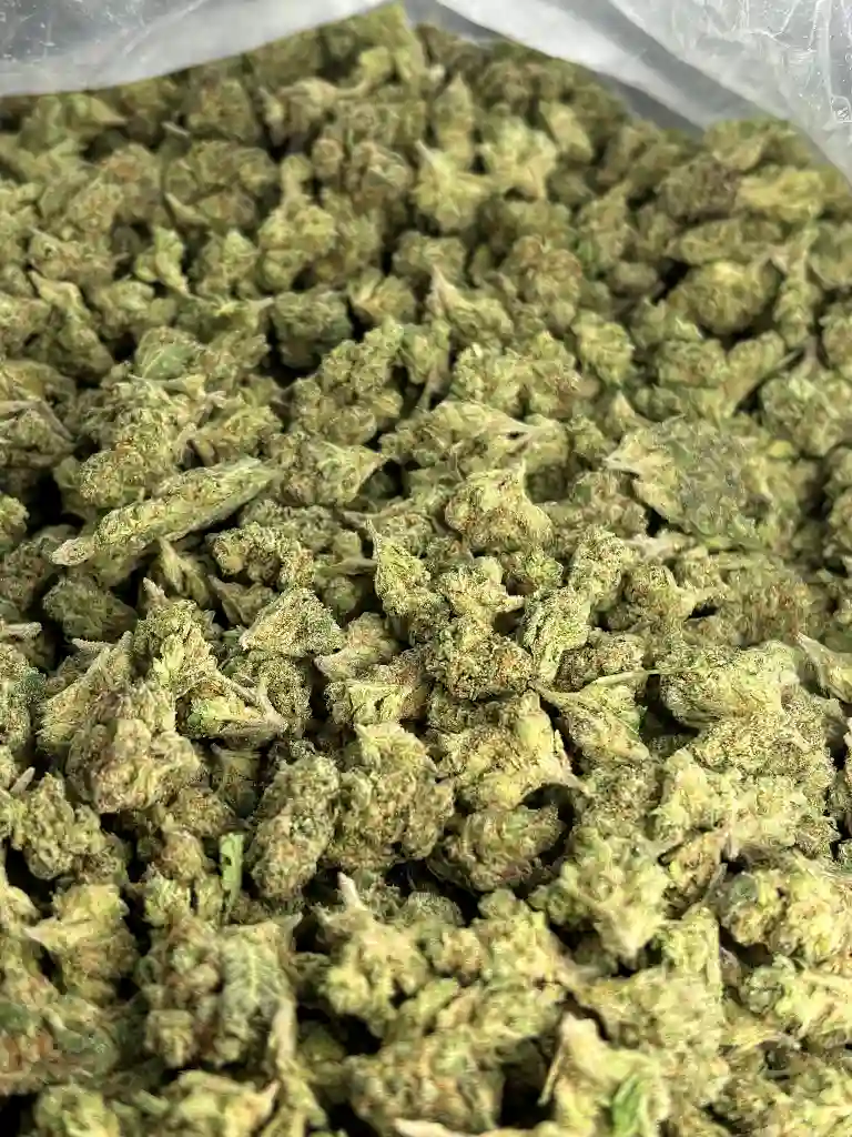 Blue Runtz Indoor Smalls