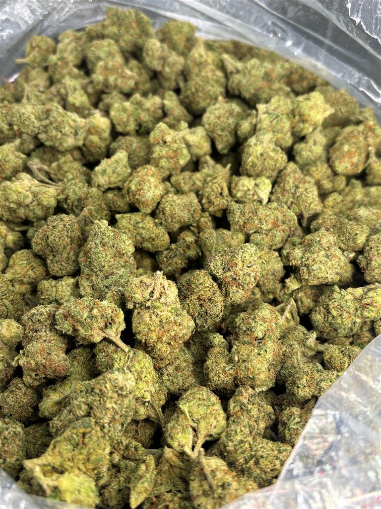 Blue Truffle Indoor