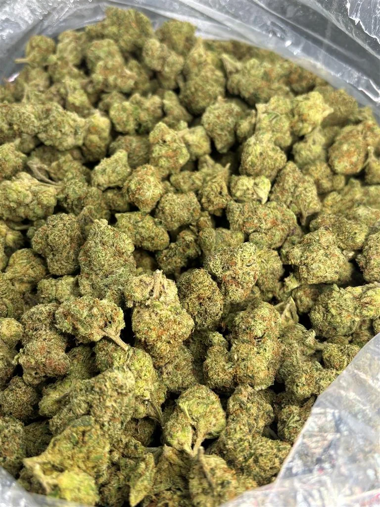 Blue Truffle Indoor