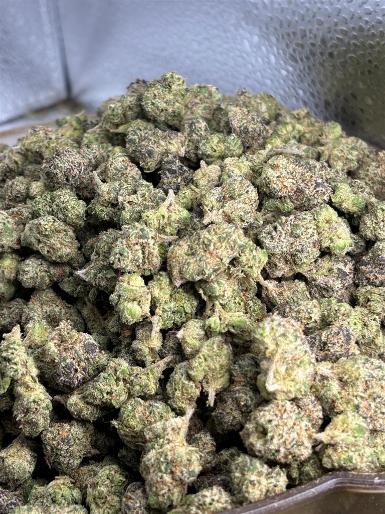Blue Nerds Exotic Smalls