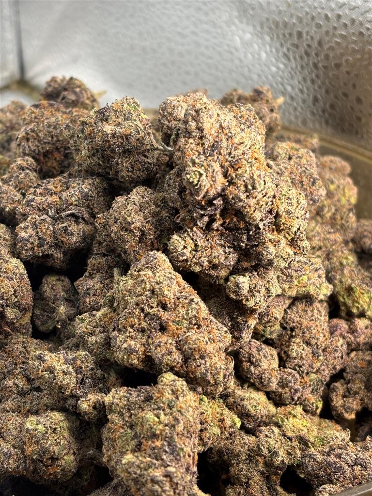 Candy Cartel Exotic
