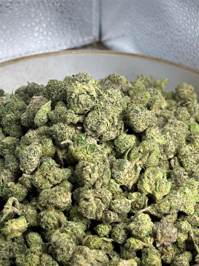 Candy Gelato Exotic Smalls