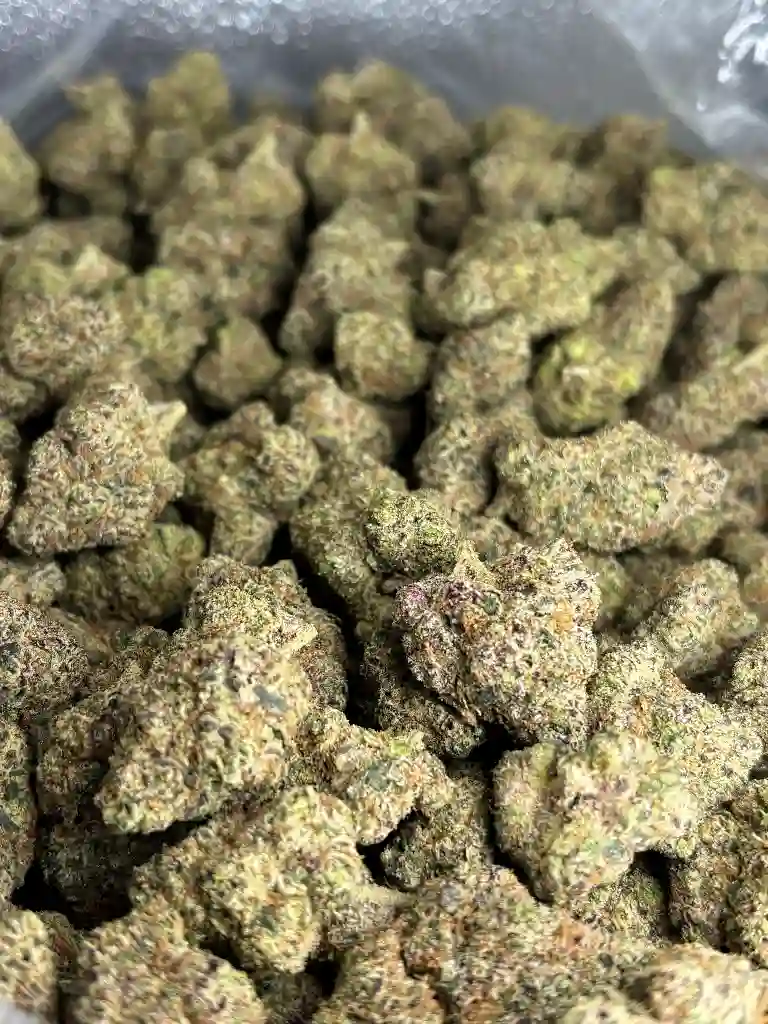 Candy Rain Exotic