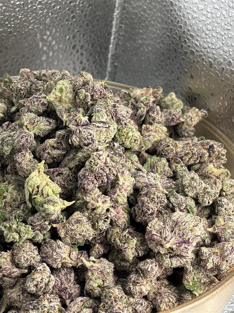 Candy Runtz Exotic Sm