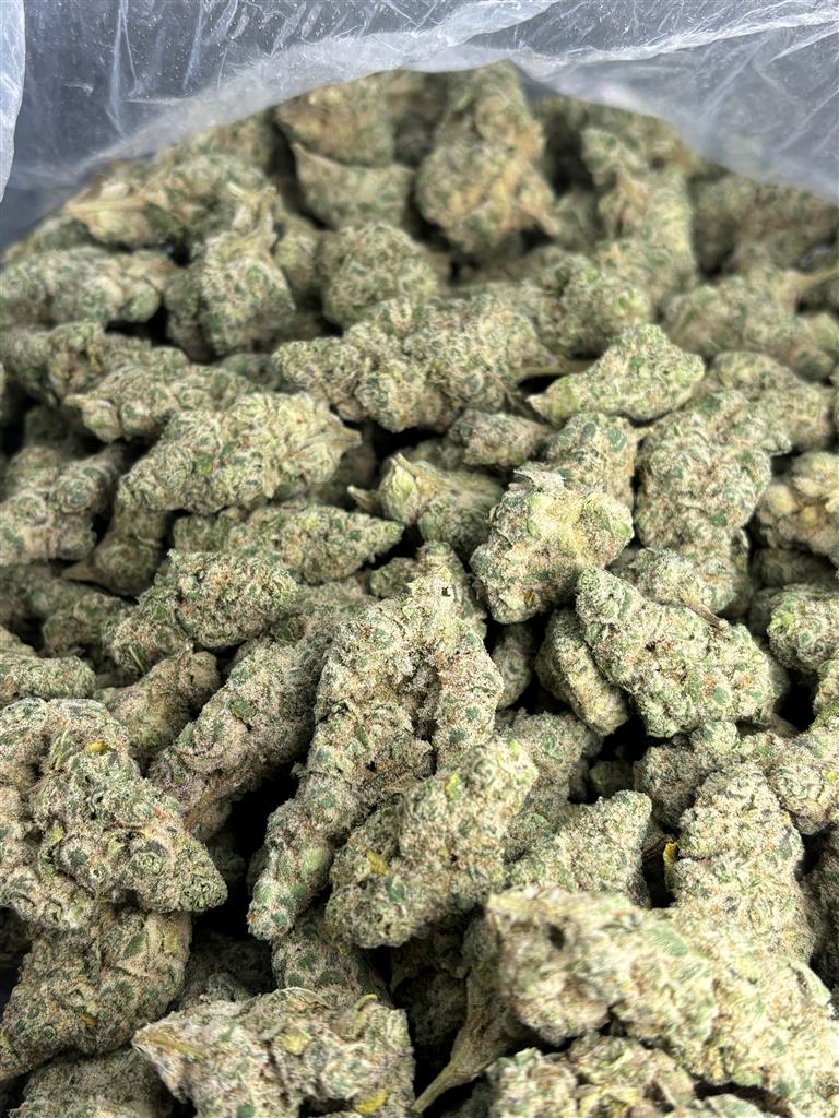 Cap Junky Exotic