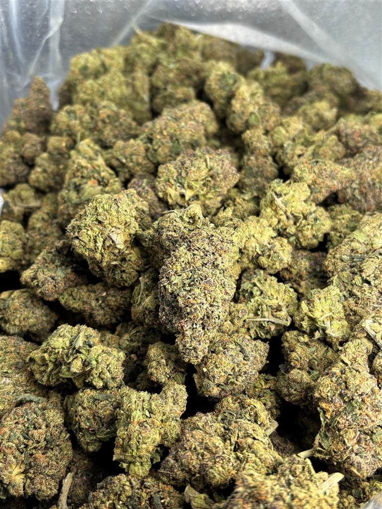 Captain Crunch Berry Indoor
