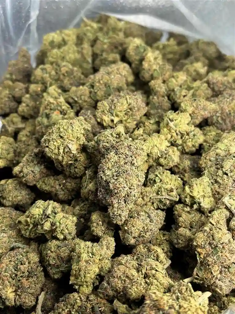 Captain Crunch Berry Indoor