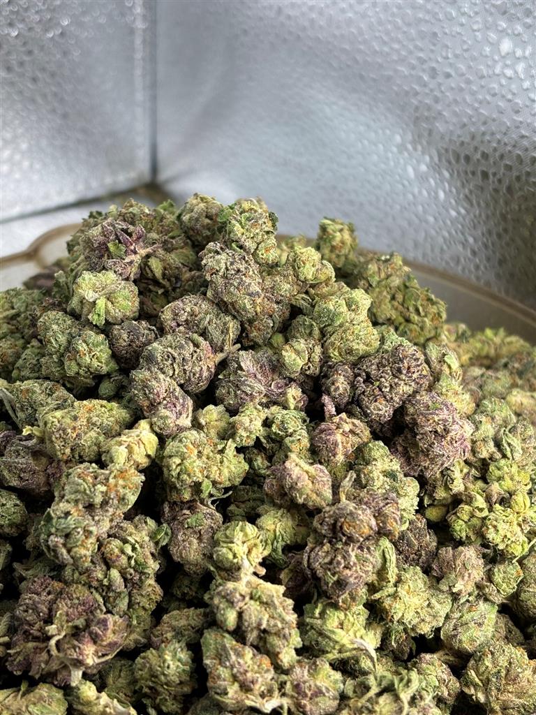 Cereal Milk Exotic Smalls