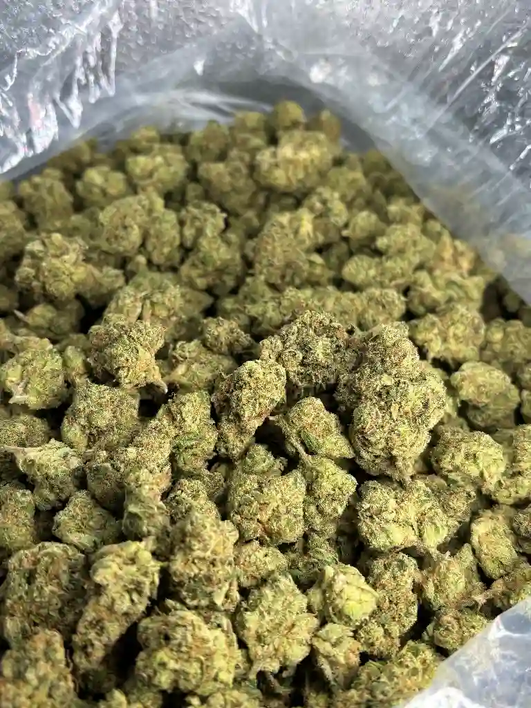 Cherry Poppins Indoor