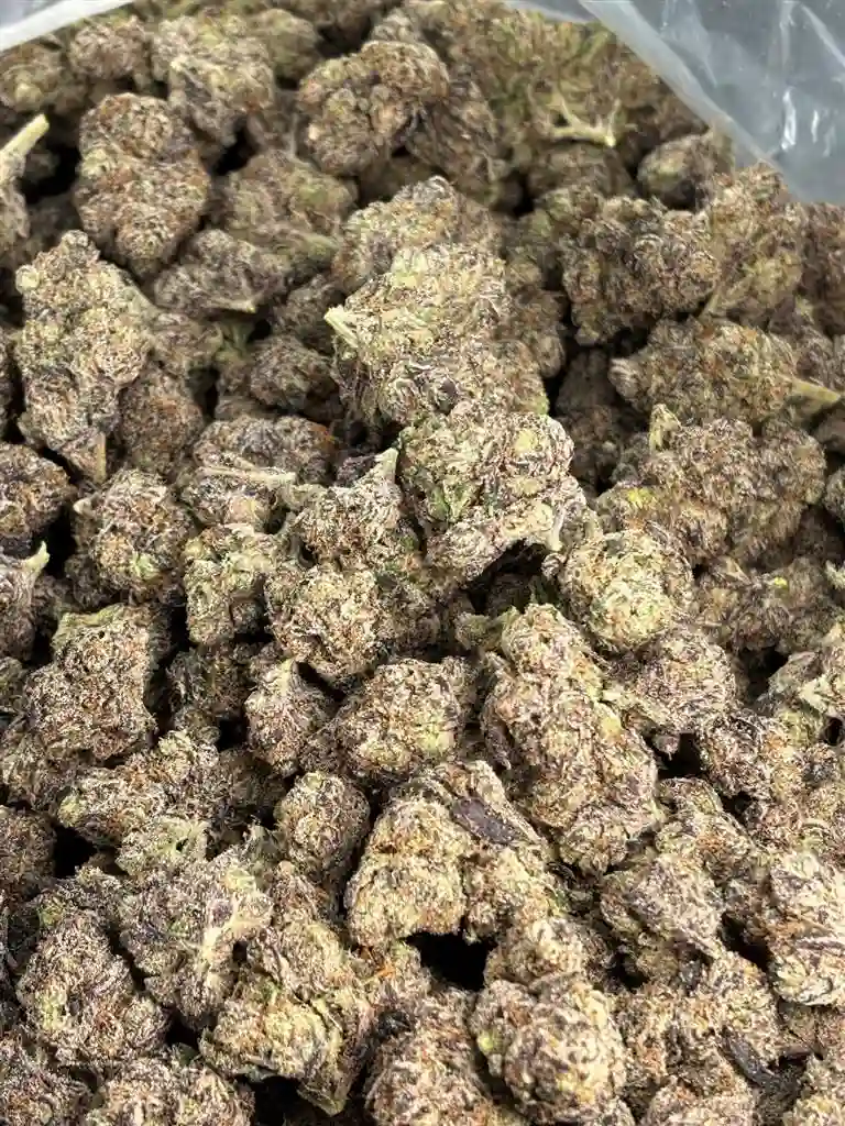 Fresh Candy Exotic