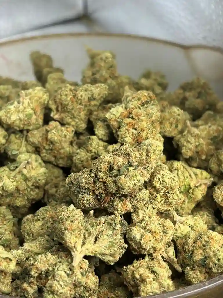 Gelato 85 