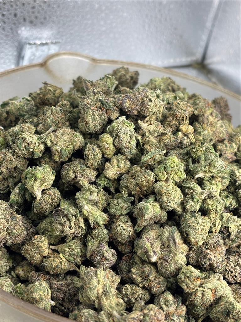 Gas Runtz Exotic Smal