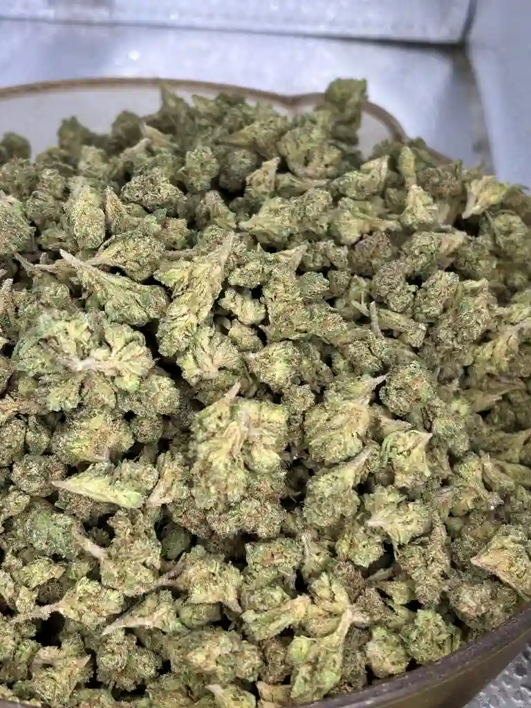 Gelato 33 Smalls
