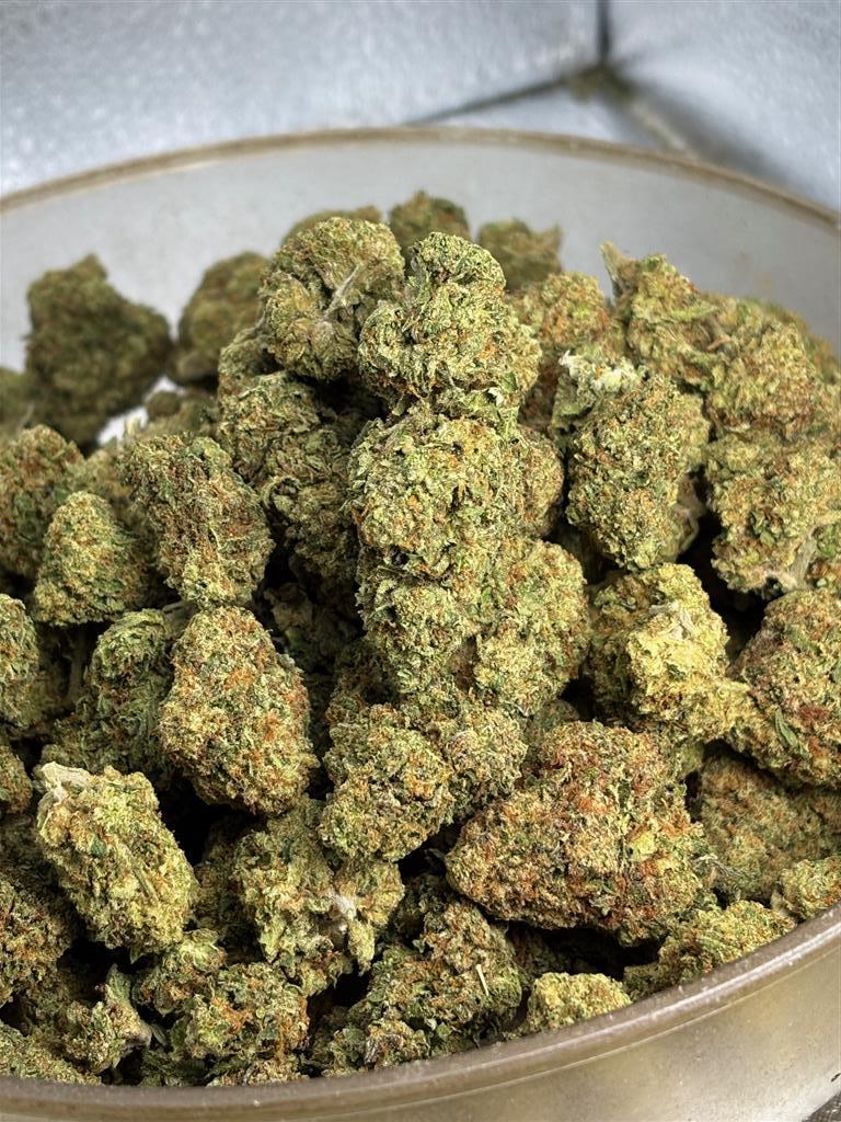 Gelato 41