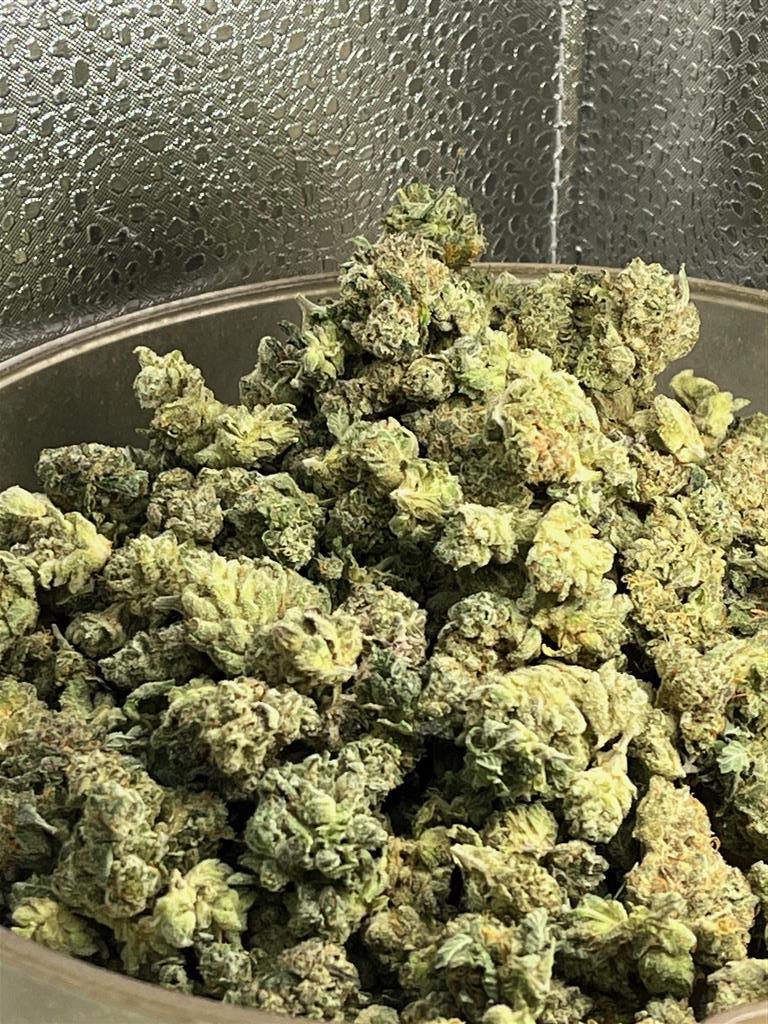 GorillaGlue#4ExotSmal