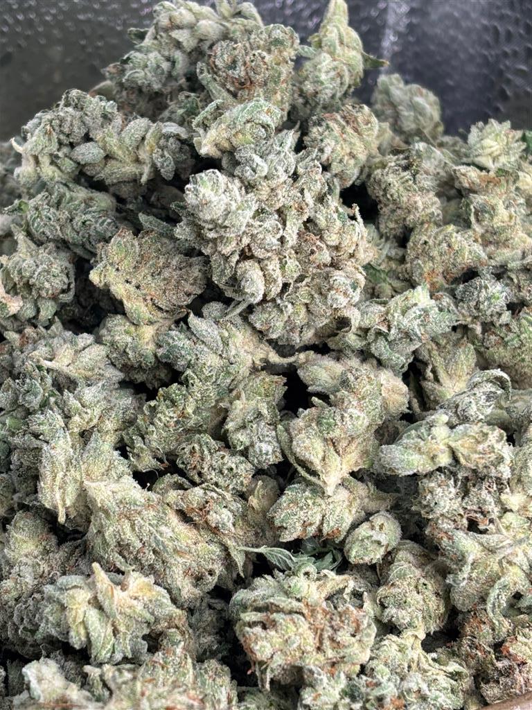 GorillaGlue#4ExotSmal