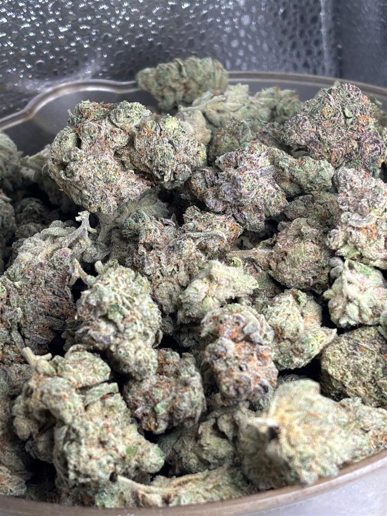 GorillaCookies Exotic