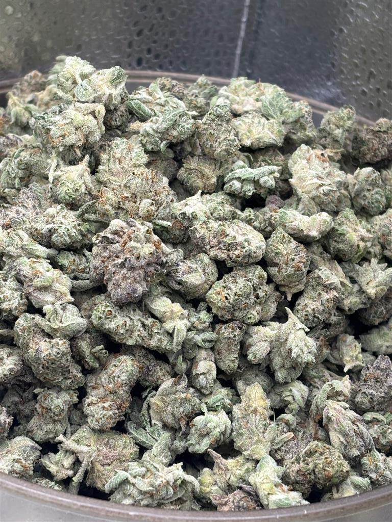 GorillaCookiesExotSma