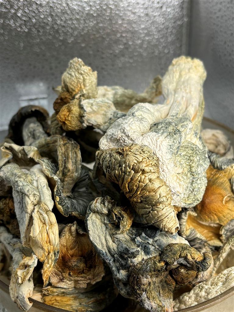 Hill Billies Raw Mushrooms
