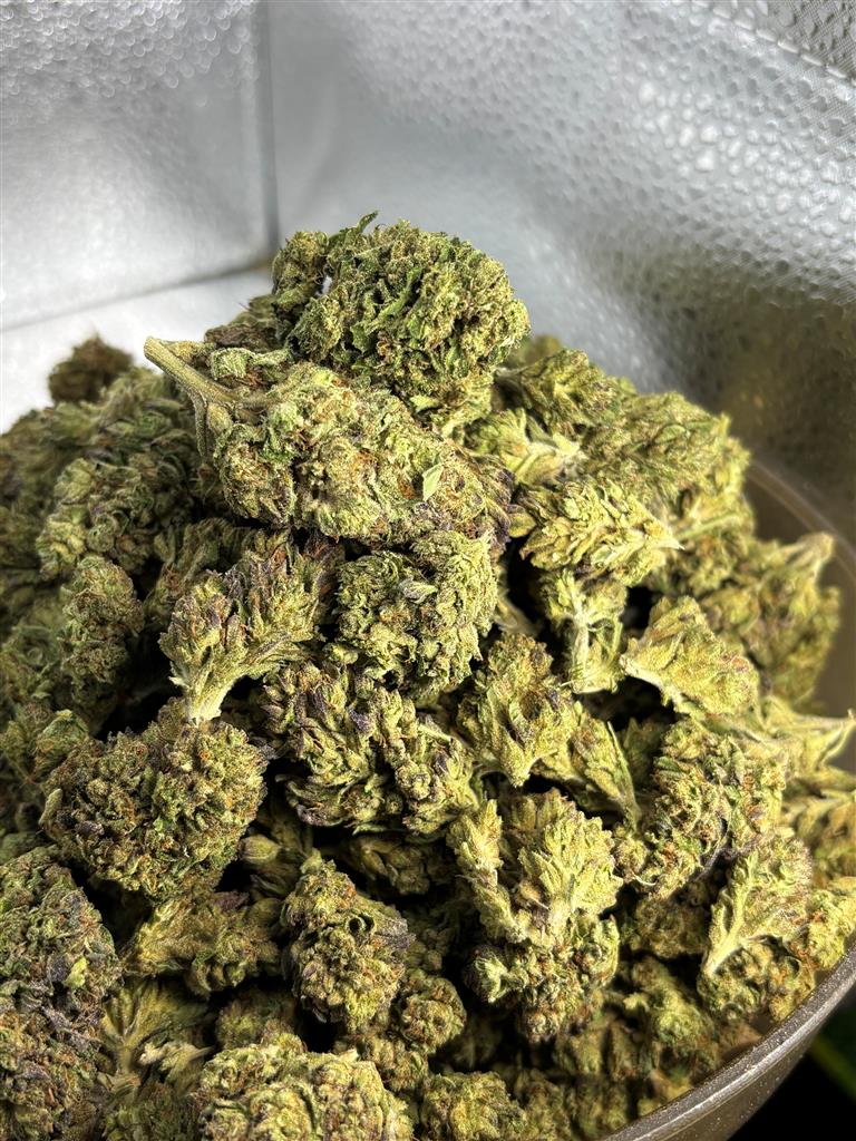 Holy Grail X LCG