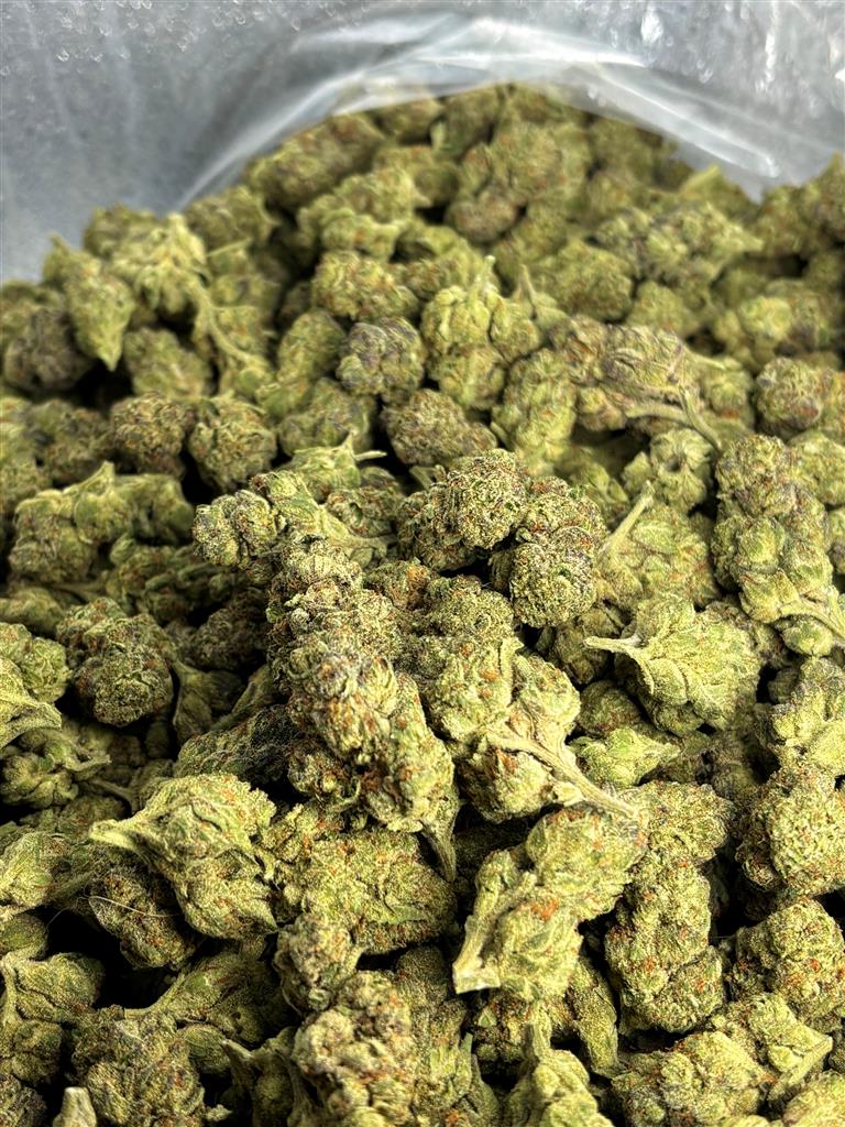 Ice Pie Indoor