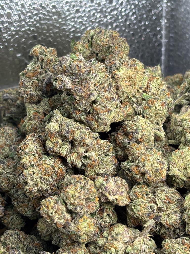 Italian Gelato Exotic