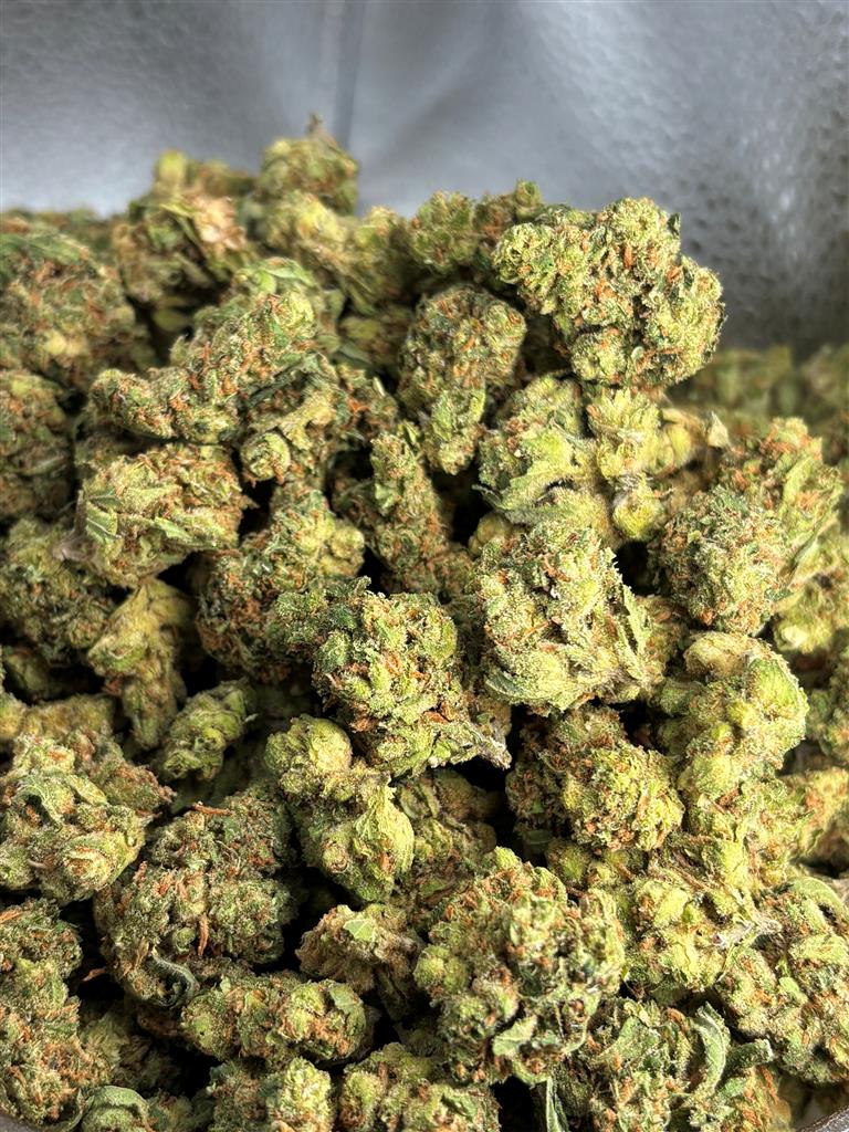 Jack Herer Indoor