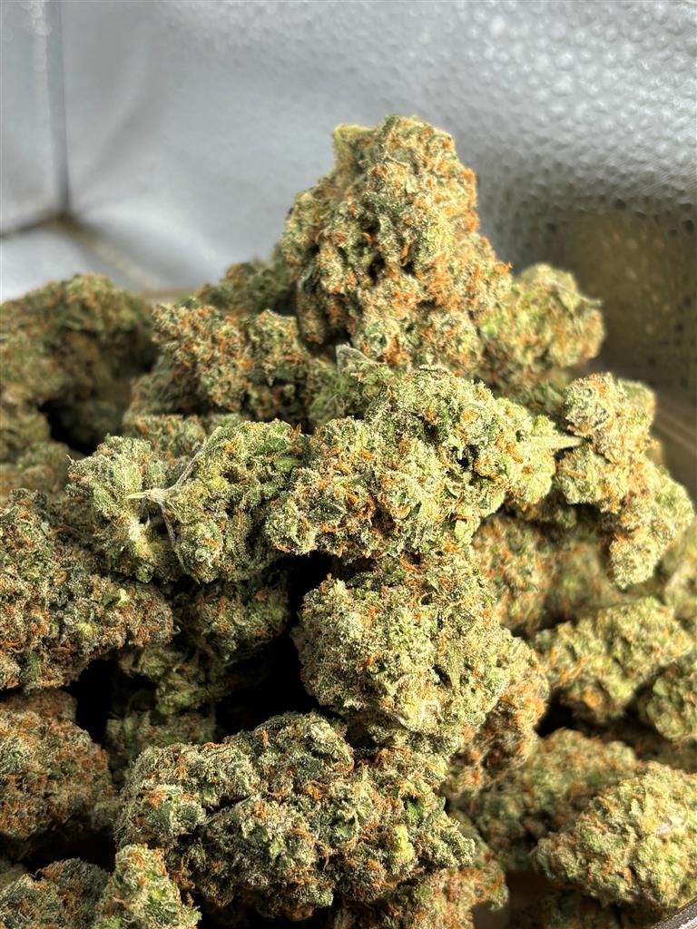Jack Herer Exotic