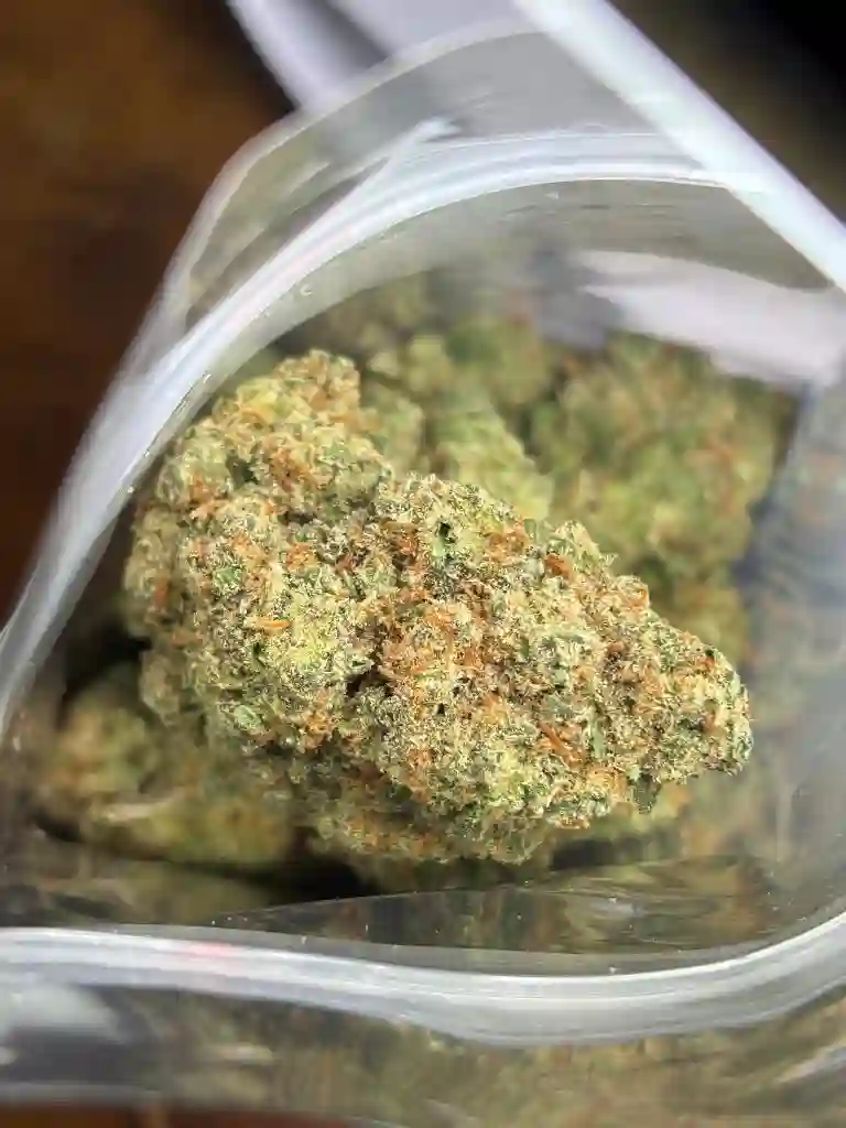 Jack Herer Exotic
