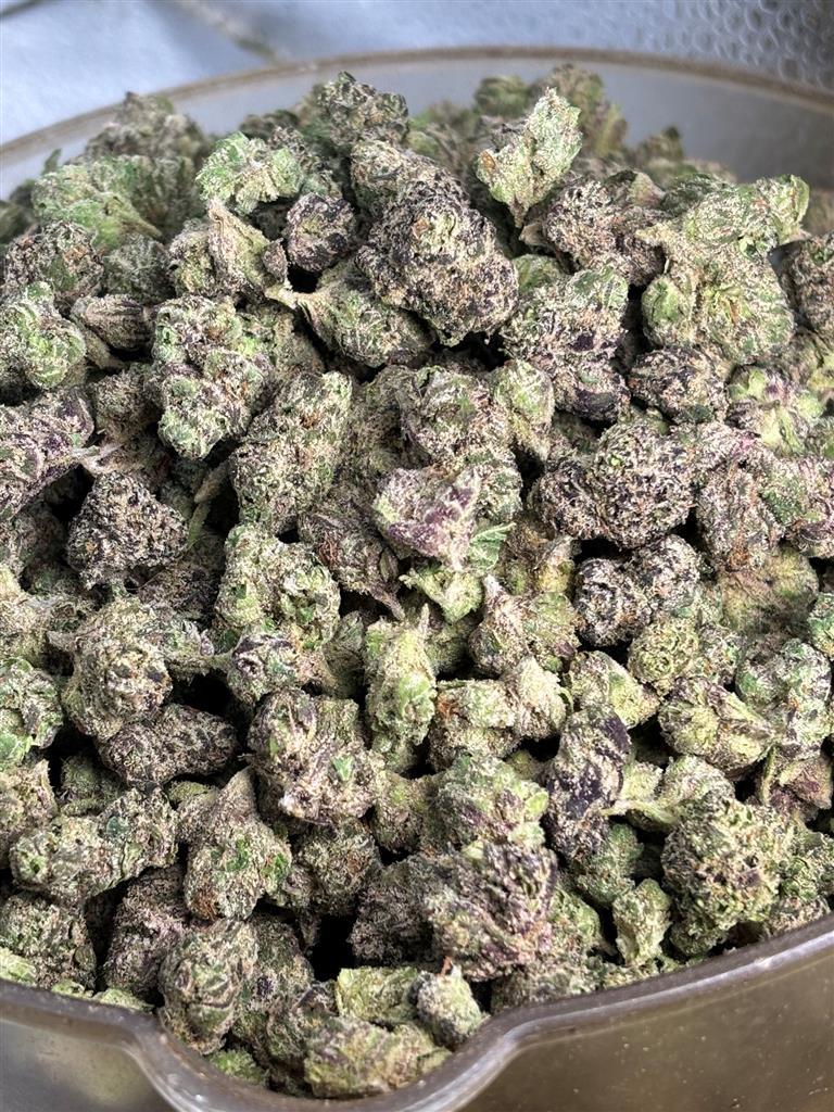 Jammerz Exotic Smalls