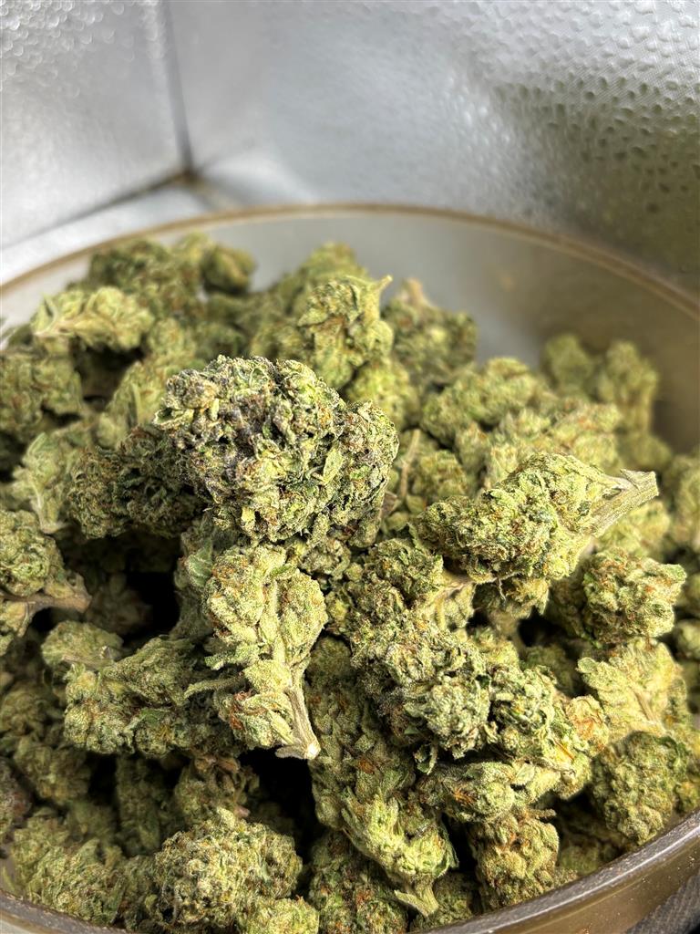 Jet Fuel Gelato