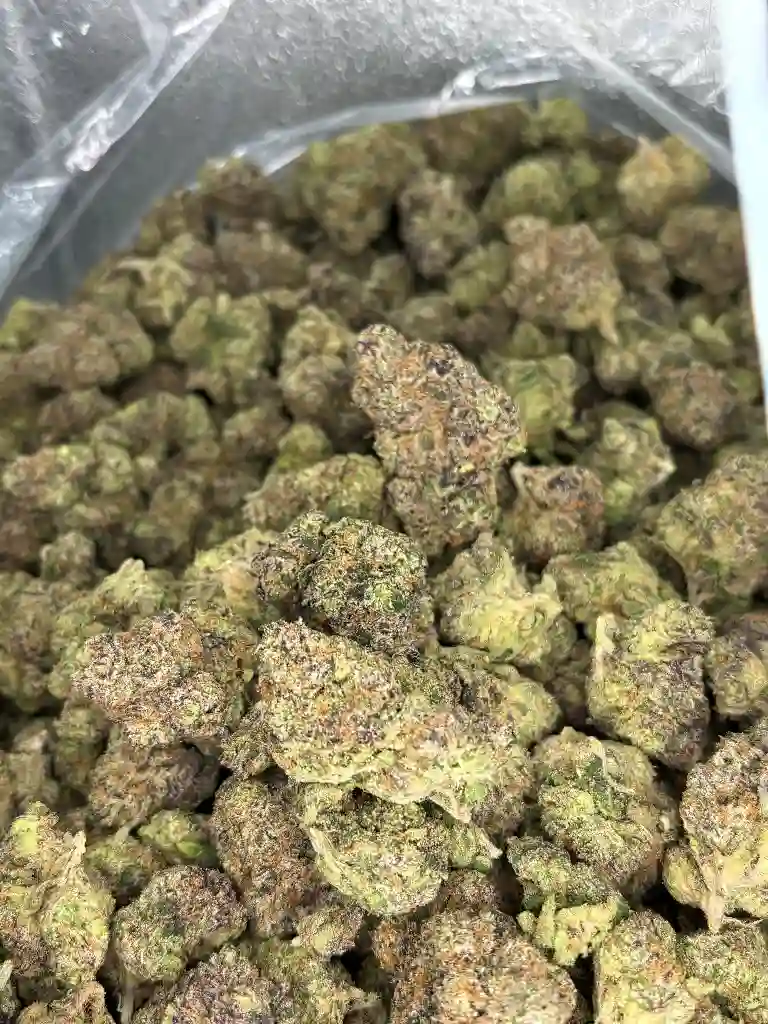 Jupiter Og x Runtz Exotic