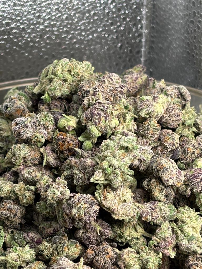 LaPopRocksXPPPExotSml