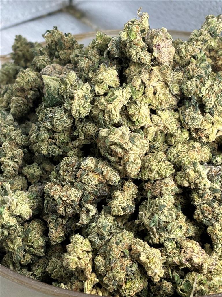 LA PopRocks Indoor Smalls
