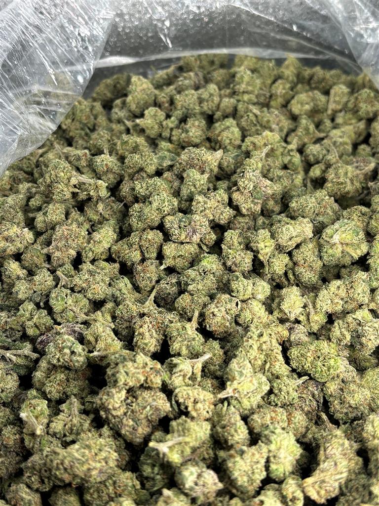 LAPR x LCG Exotic Smalls