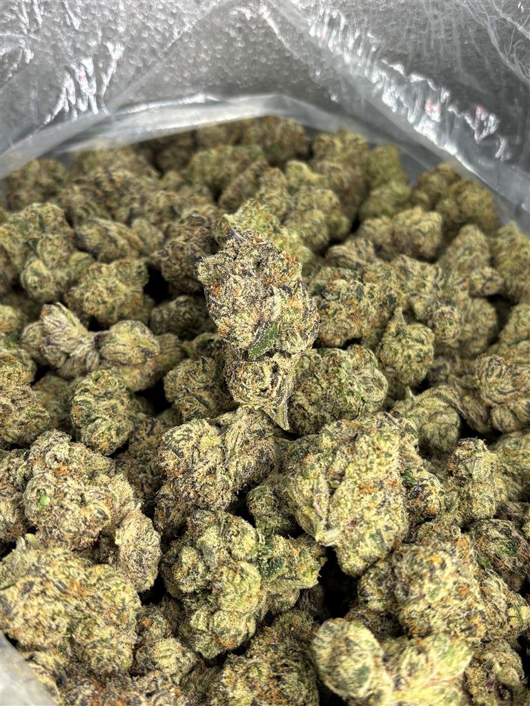 Black Cherry Gelato Exotic
