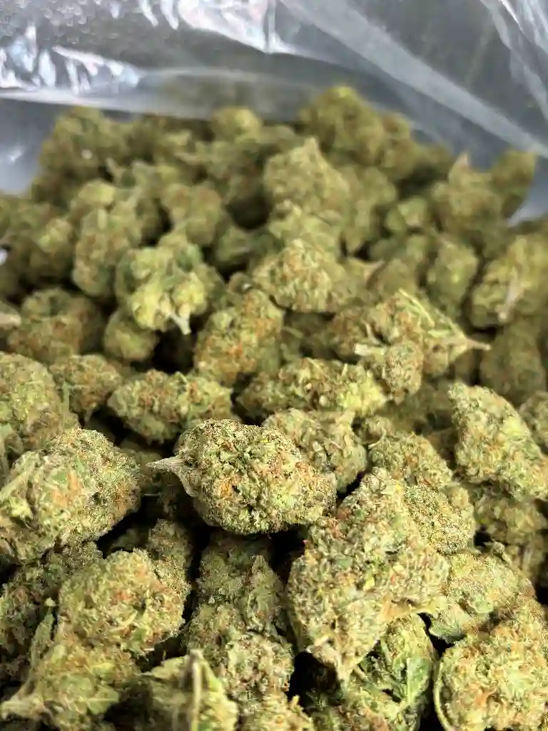 Lemon Squeeze