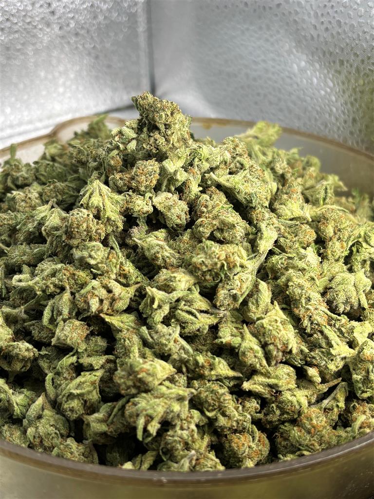 Lemon Zkittles Indoor Smalls