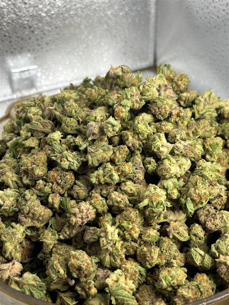 Mai Tai Exotic Smalls