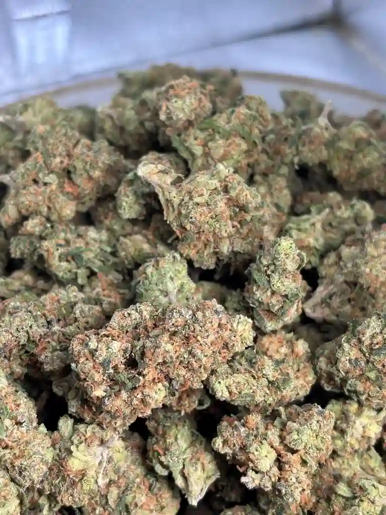 Malibu Pure Kush