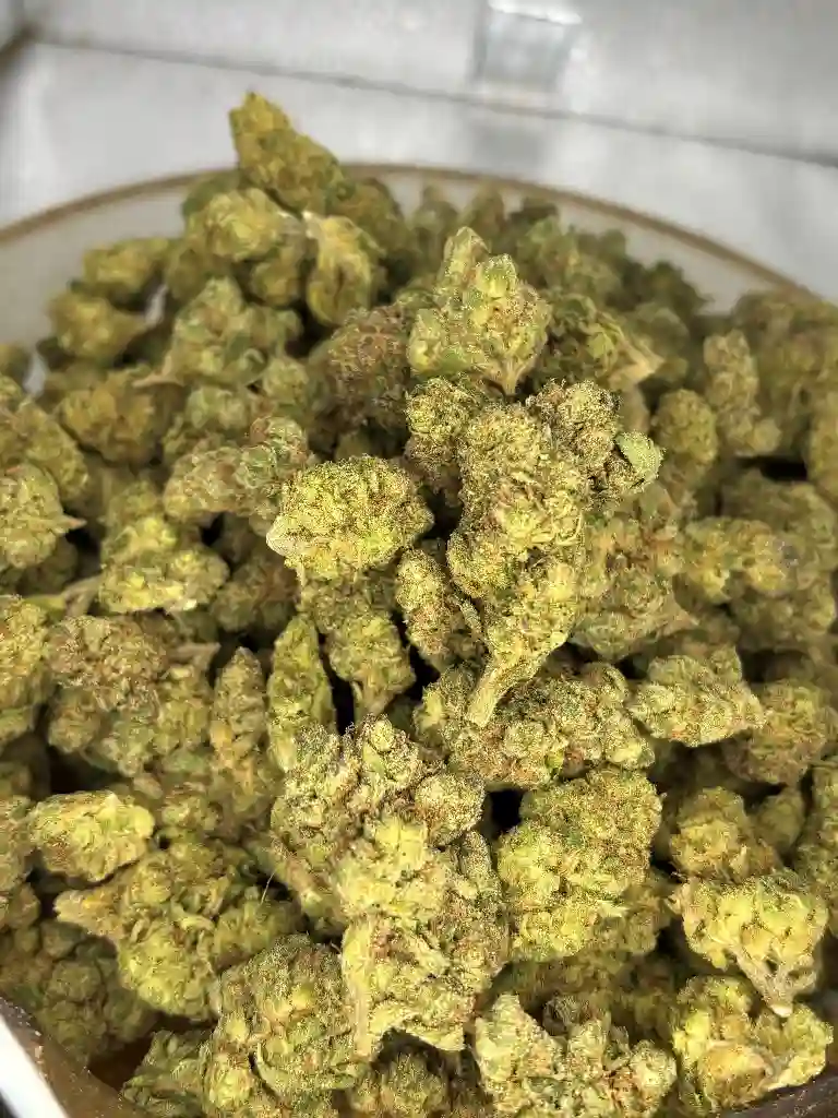 Animal Cookies 