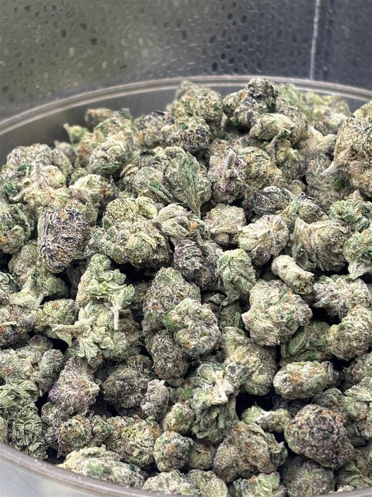 OaklandRuntzExoticSm