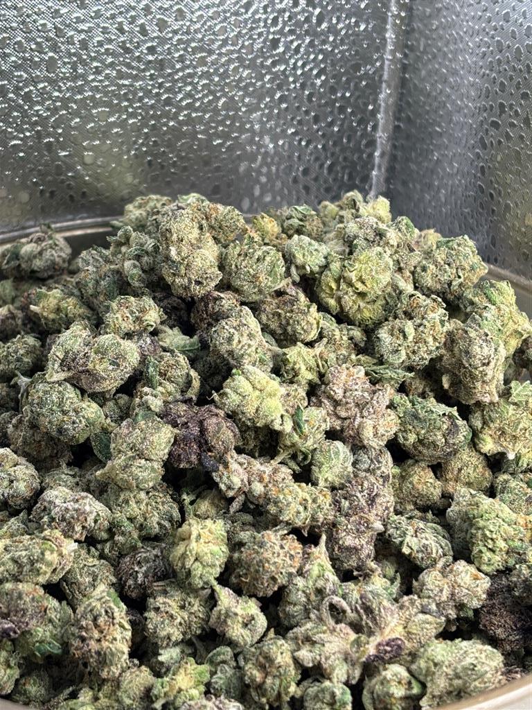 OaklandRuntzExoticSm