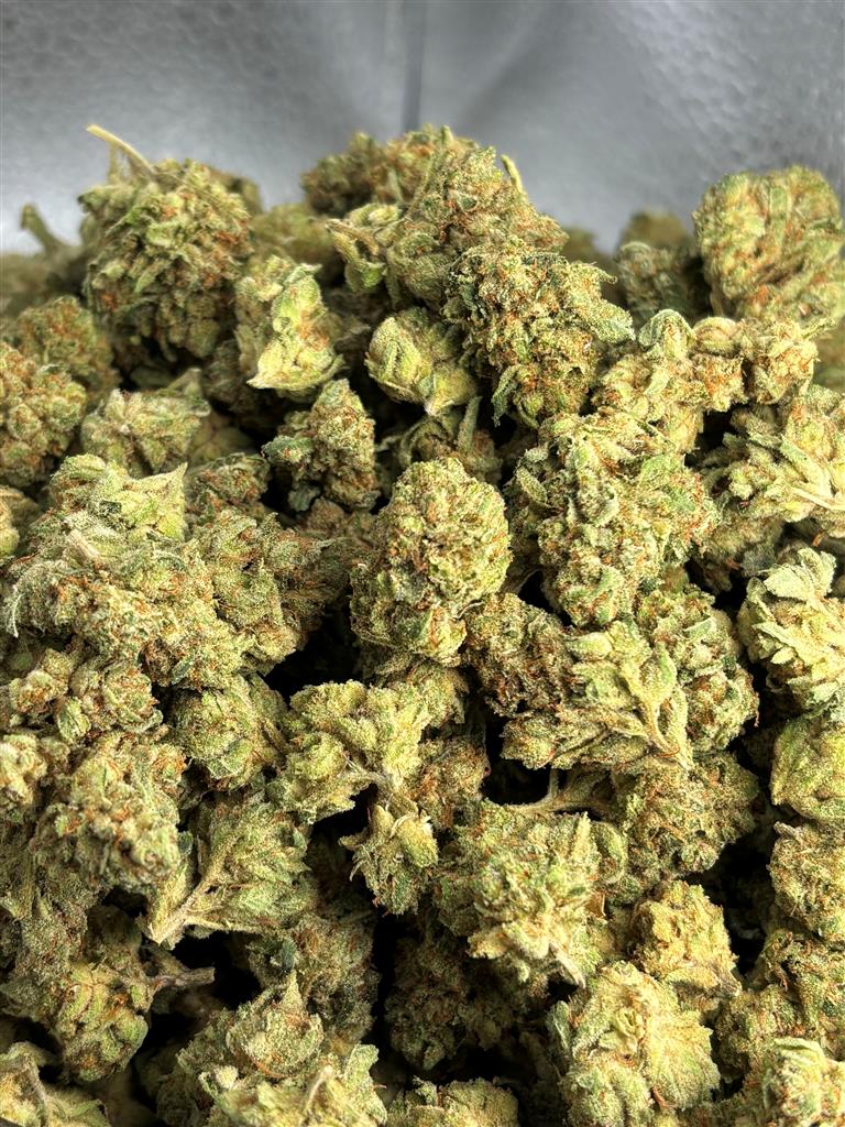 Original Glue
