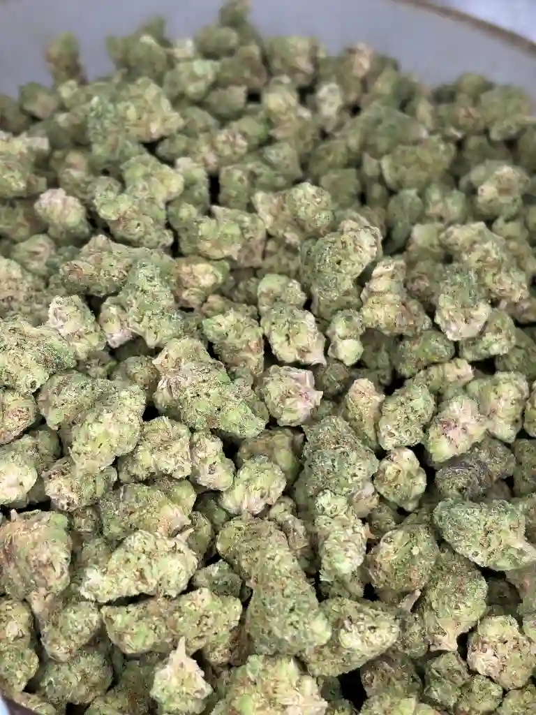 Paradise Melt Exotic Smalls