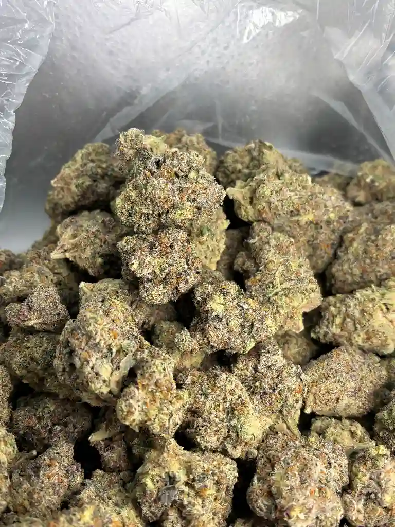 Platinum Trainwreck Exotic