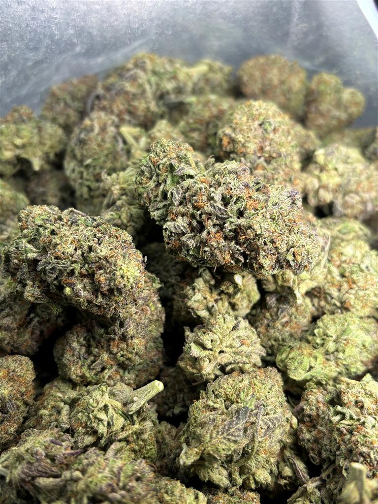 Purple Gorilla 
