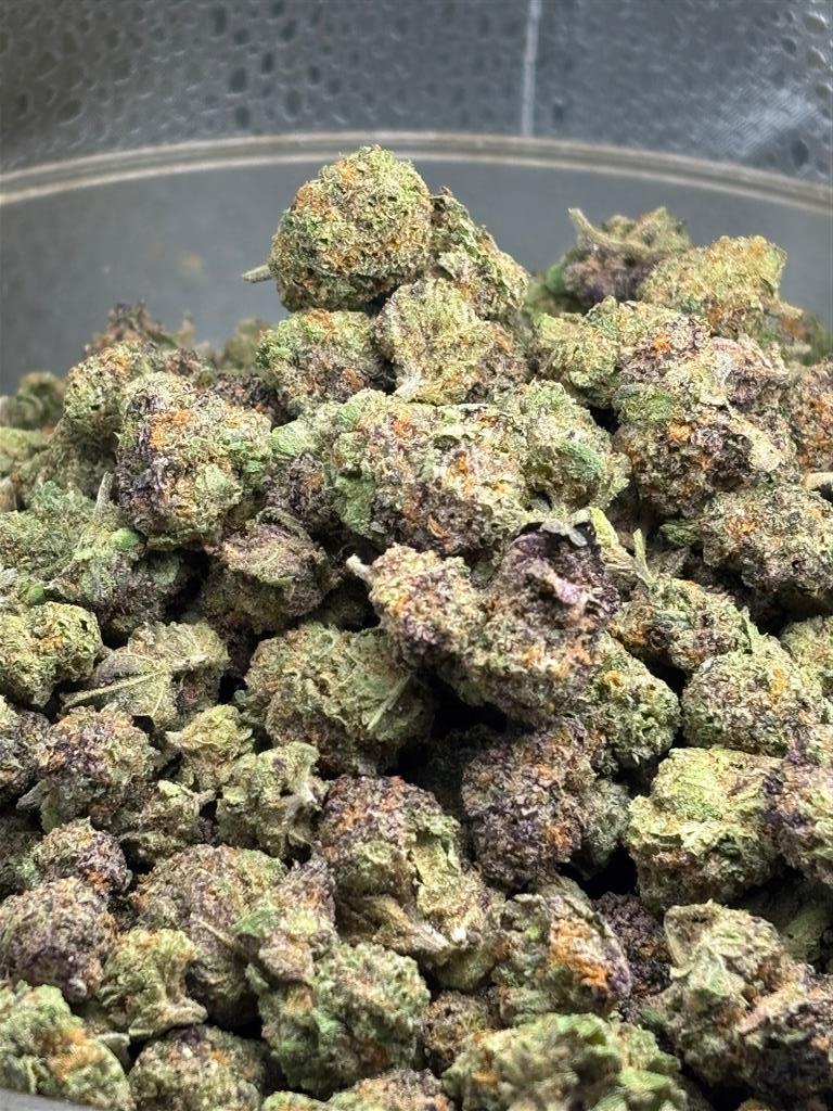 Rainbow 41 exotic sma